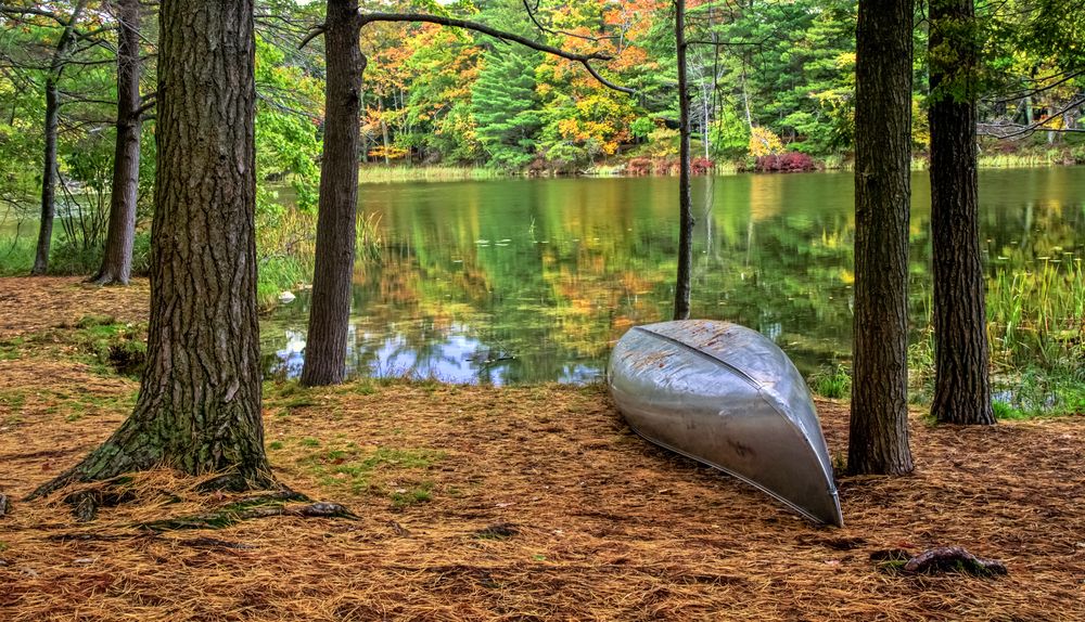Lake at Ludington State Park