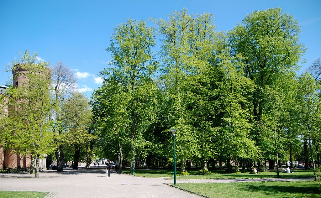 Lundagård Park on a sunny day