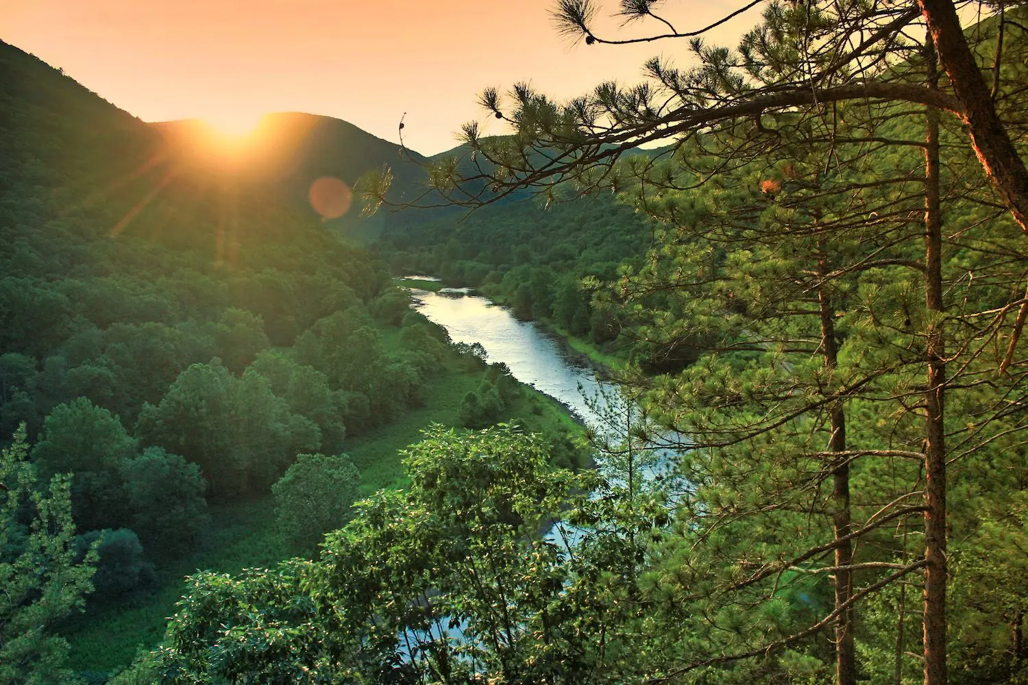 15 Best Things to Do in Lycoming County, PA