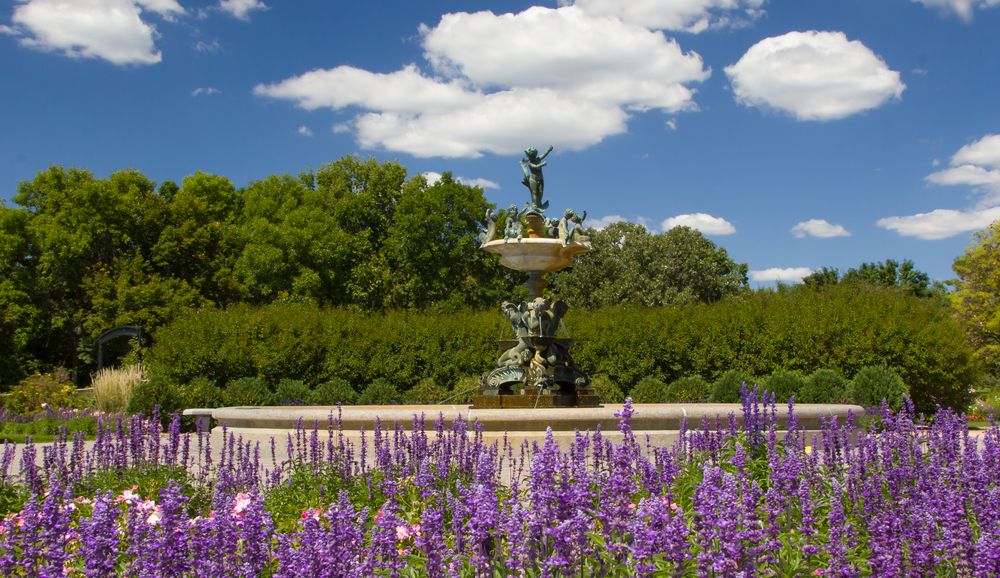 Flowers of Lyndale Park Gardens