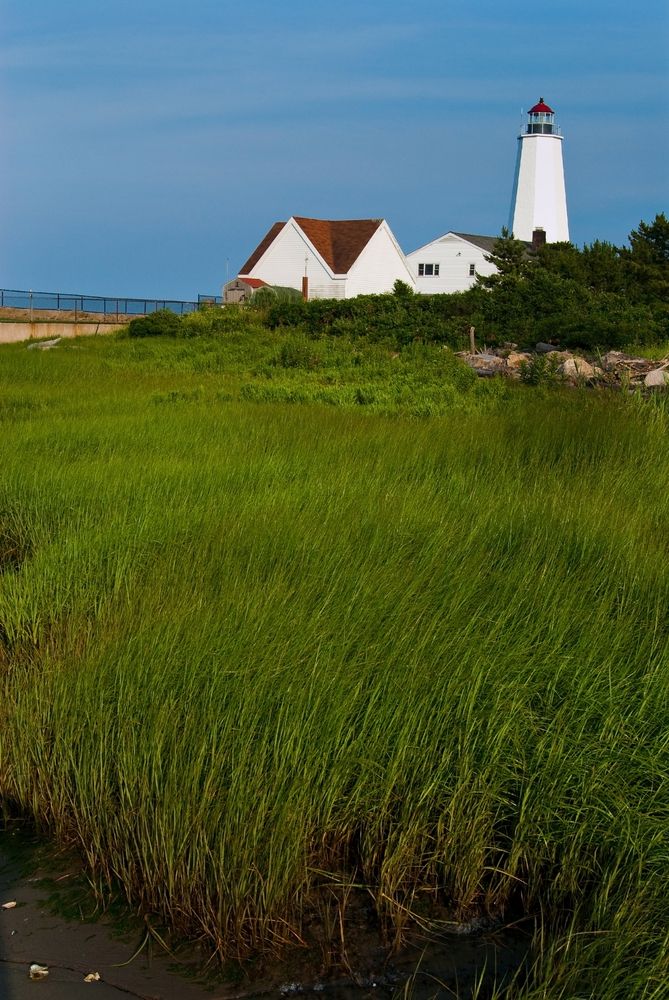 Fresh green grass at Lynde Point Lighthouse