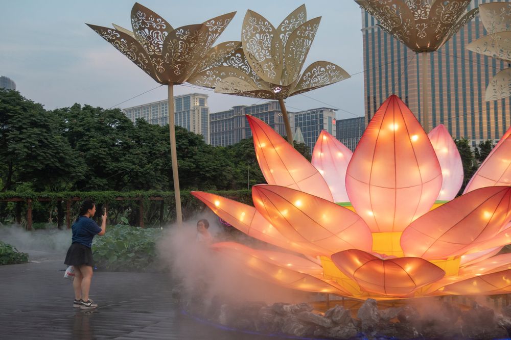 Lotus Flower Festival Macau