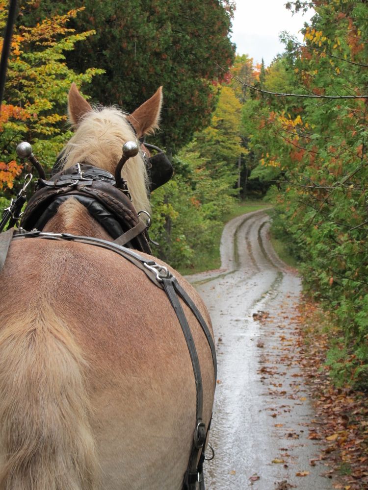 Horseback ride at Mackinac Island State Park