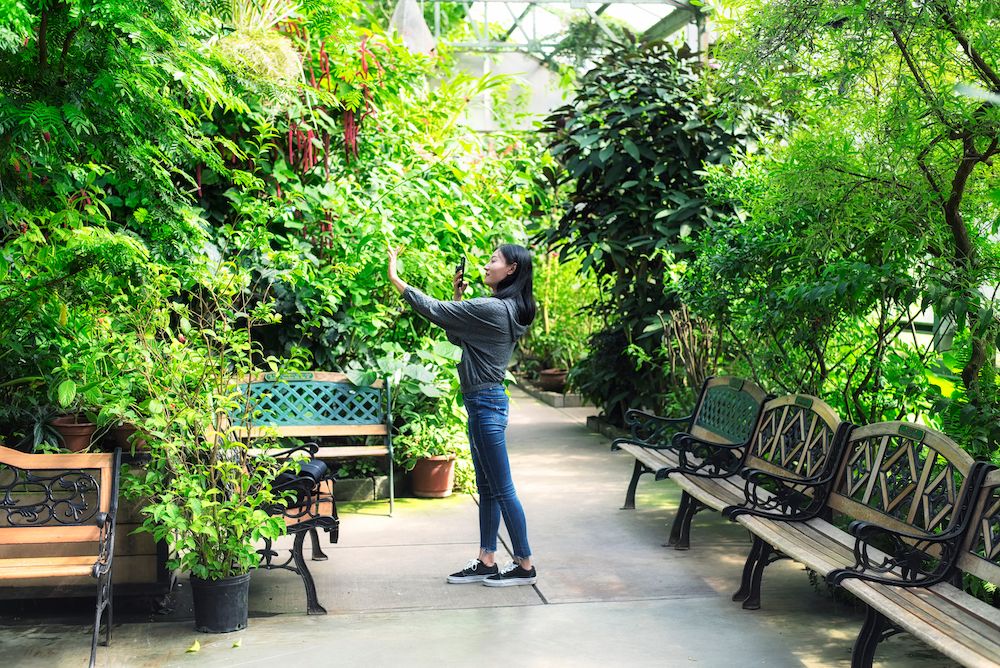 woman taking photo at Magic Wings Butterfly Conservatory