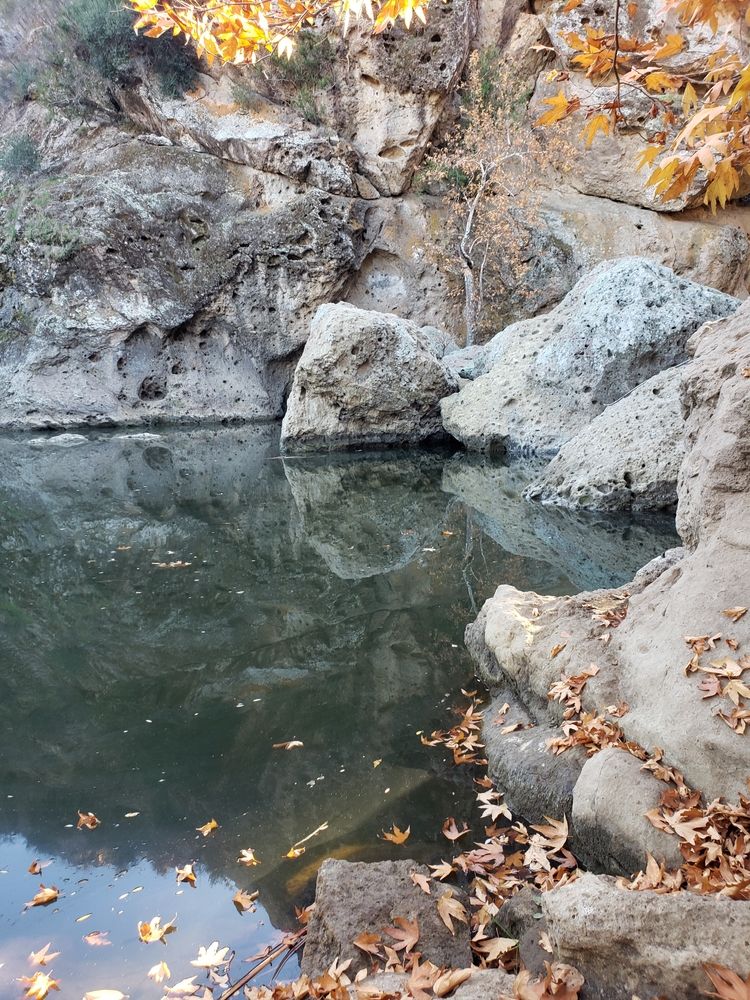 Pool at Malibu Creek State Park