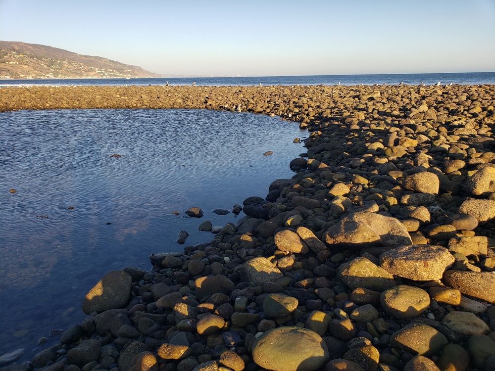 Rocky shore at Malibu Lagoon State Beach