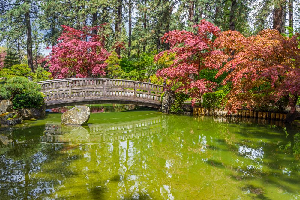 Manito Park in Spokane, WA
