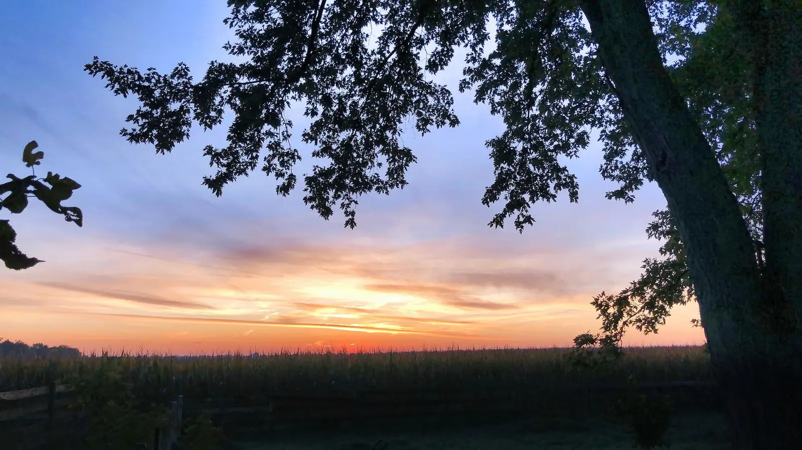 15 Best Things to Do in Marengo, IL