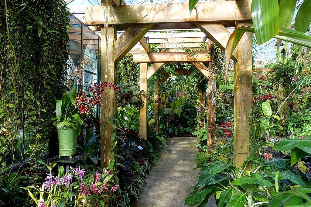 Variety of plants at Marie Selby Botanical Gardens