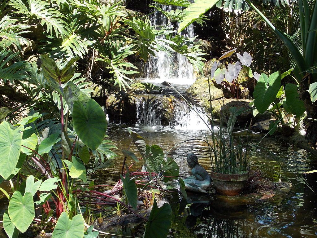 Fountain at Marie Selby Botanical Gardens