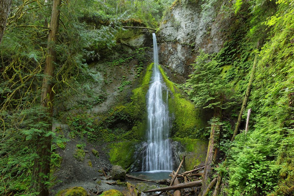 Scenic view of Marymere Falls