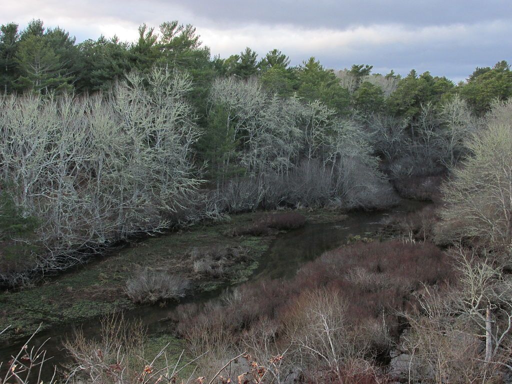 View of the Mashpee River Reservation