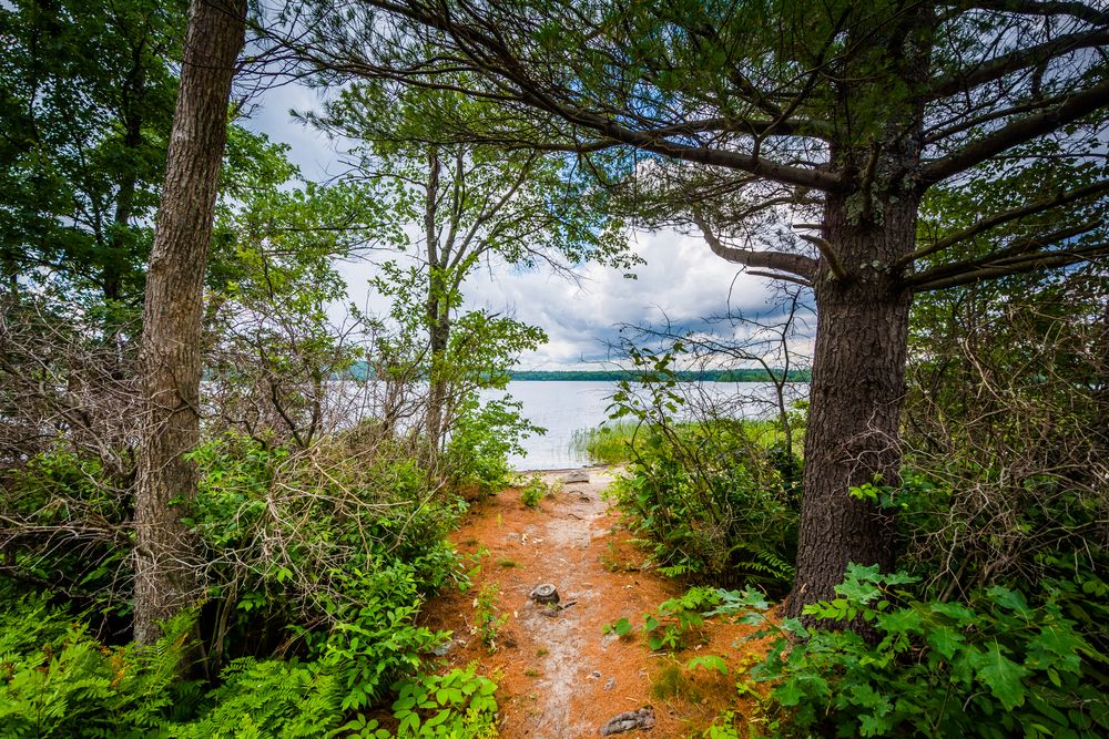 Nature trail at Massabesic Lake