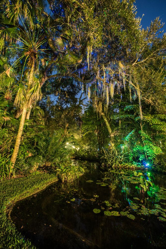 Night view of a pond surrounded by tall trees at McKee Botanical Garden