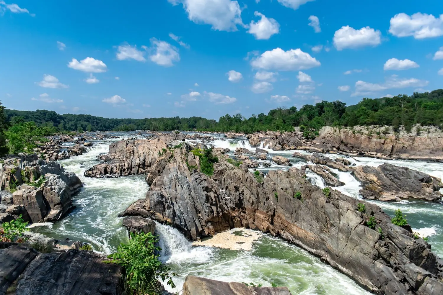 20 Best Things to Do in McLean, VA