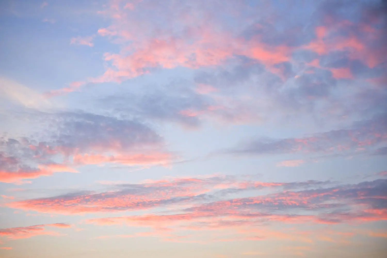 15 Best Things to Do in Media, PA