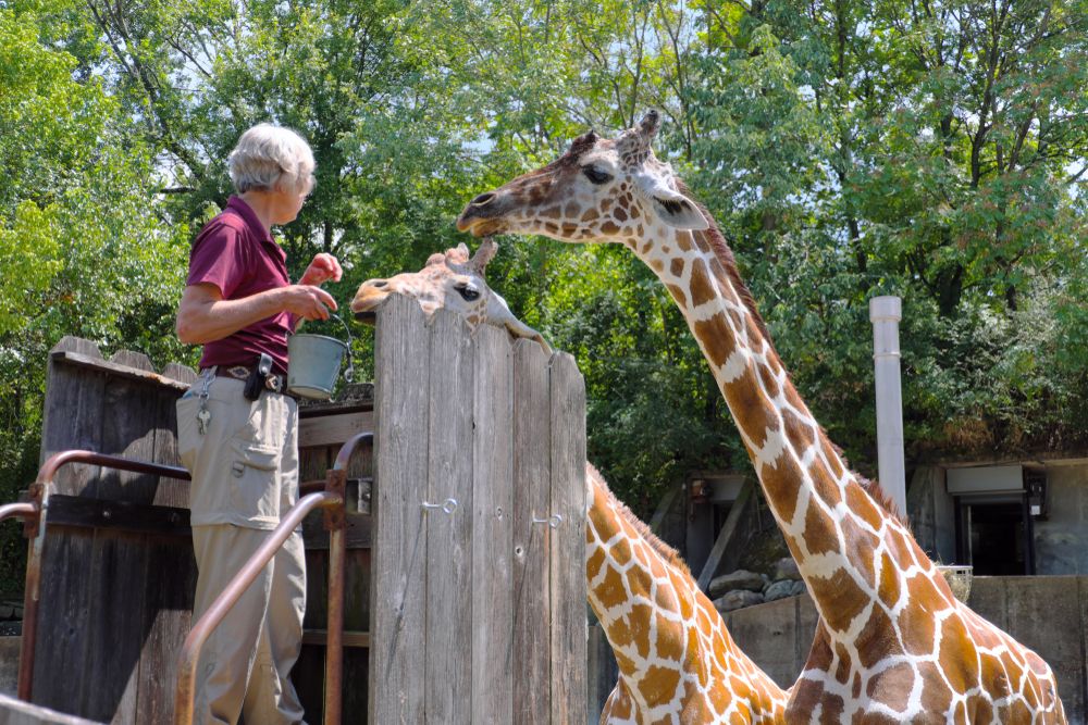 View of Memphis Zoo