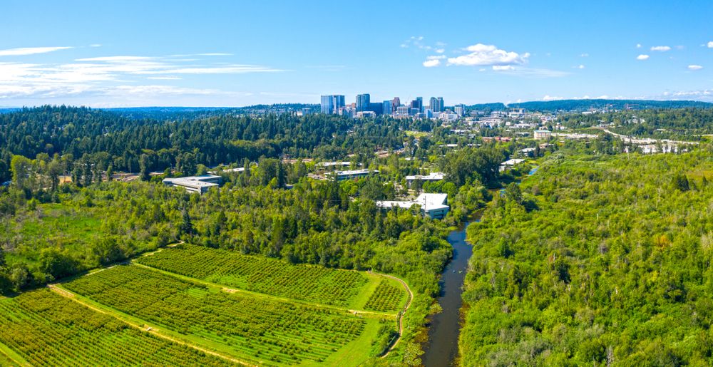 Aerial view of Mercer Slough