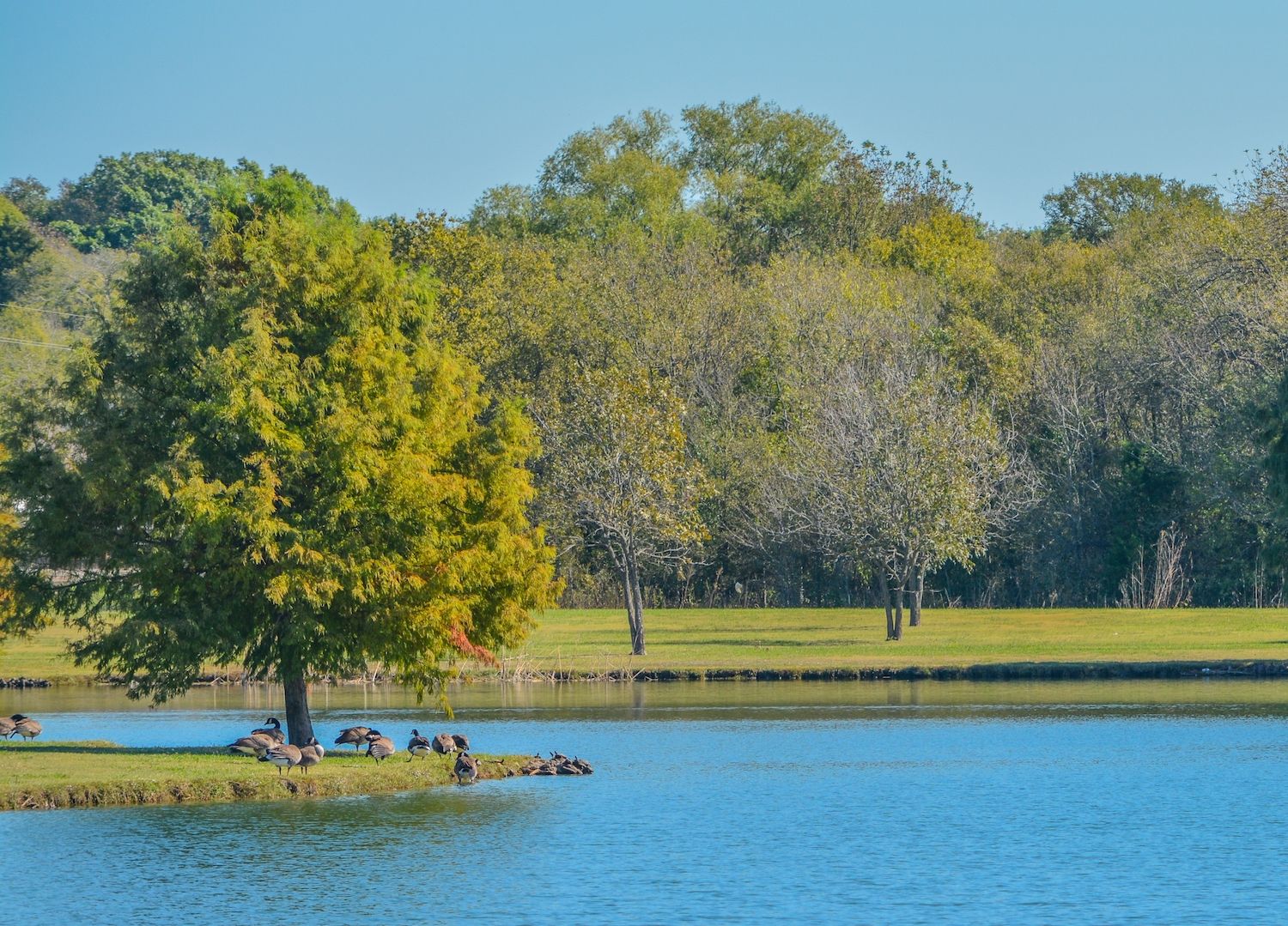 15 Best Things to Do in Mesquite, TX