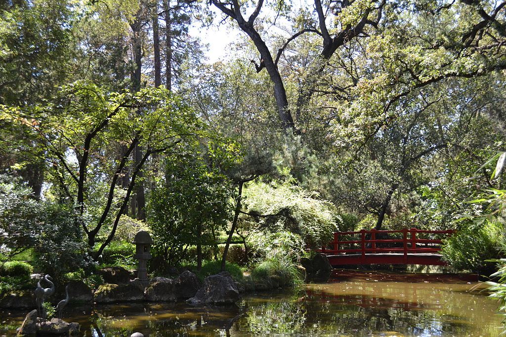 Pond at the Micke Grove Regional Park
