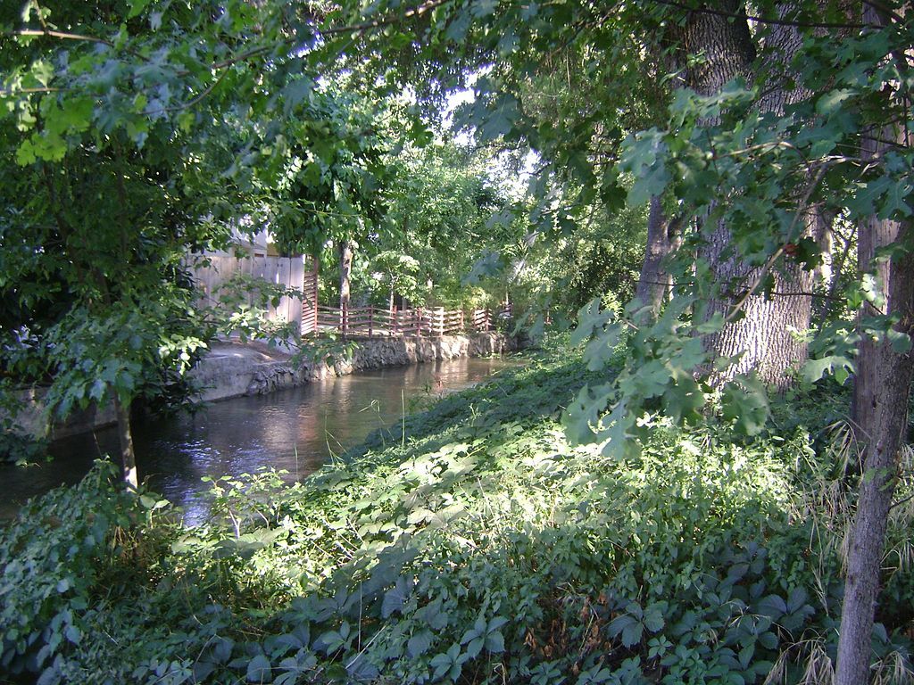 Scenic view of Mill Creek Trail