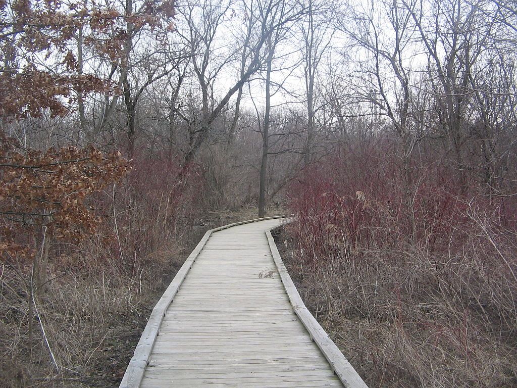 Boardwalk at Millbrook Marsh Nature Center