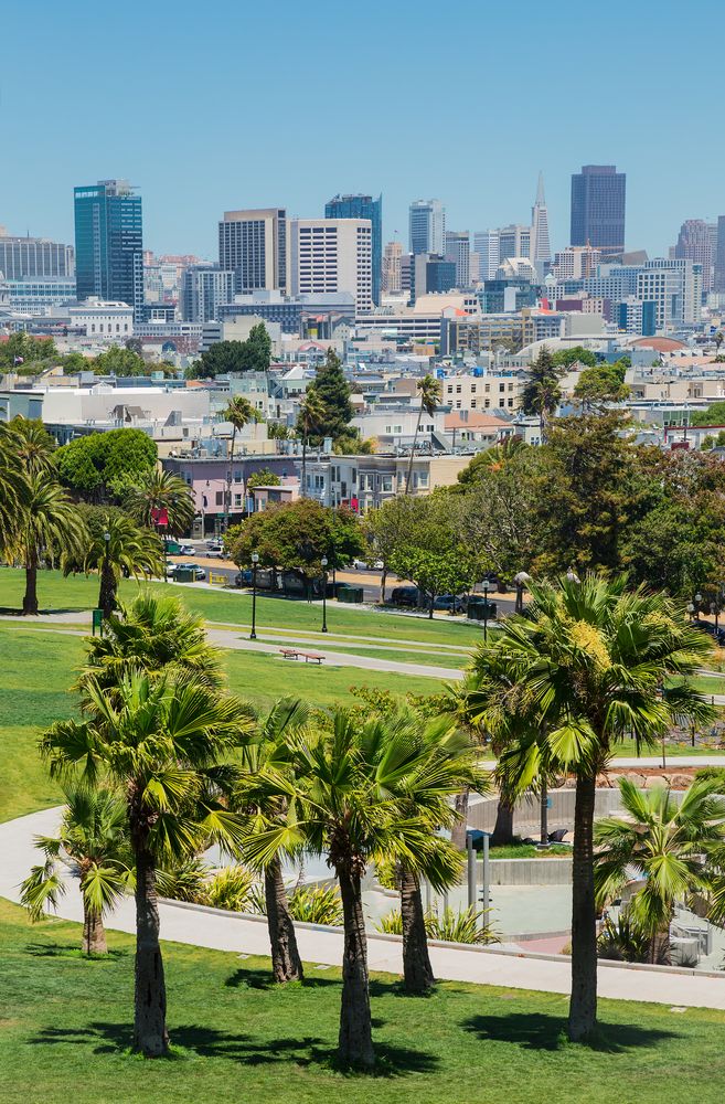 Palm trees at Mission Dolores Park