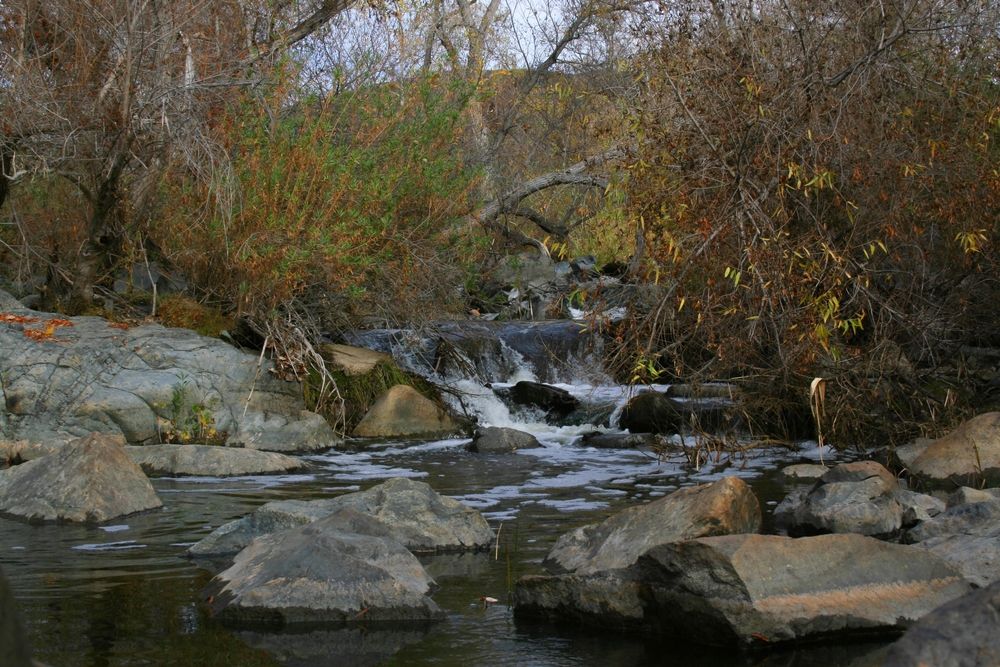 Small waterfall in Mission Trails Regional Park