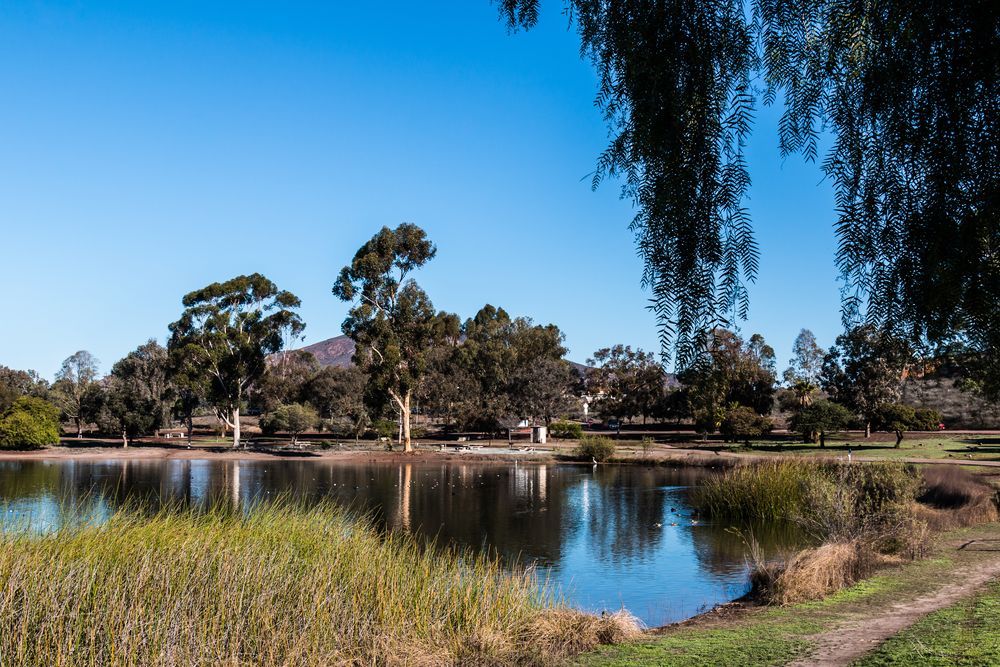 Lake at Mission Trails Regional Park