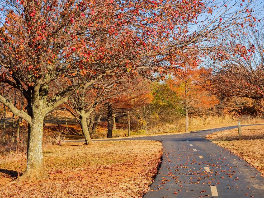 View of Mitch Park during Fall