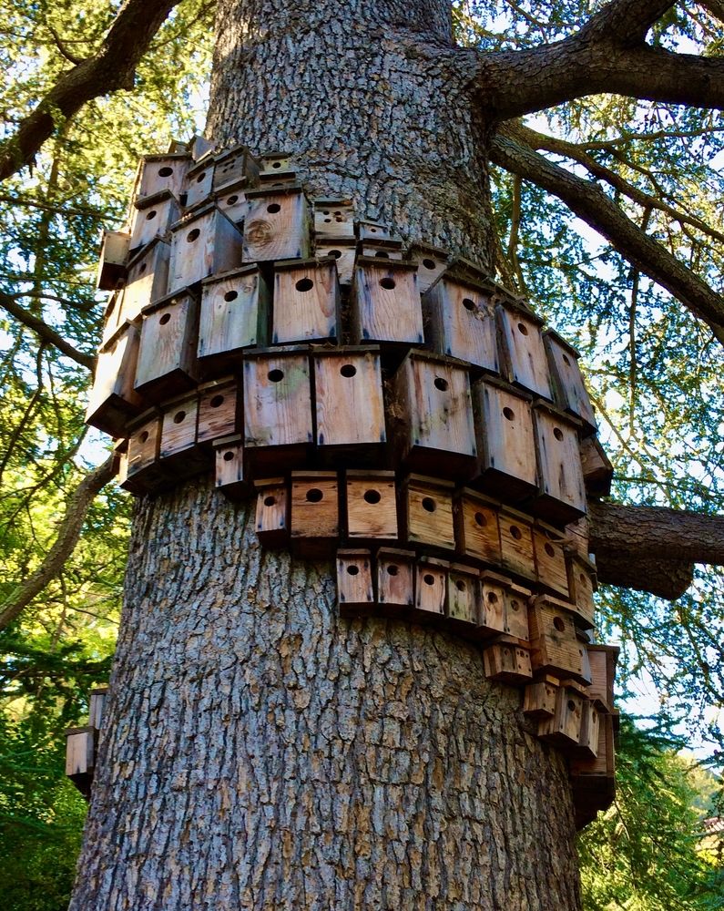 Art piece made up using bird house at Montalvo Arts Center's Beauty