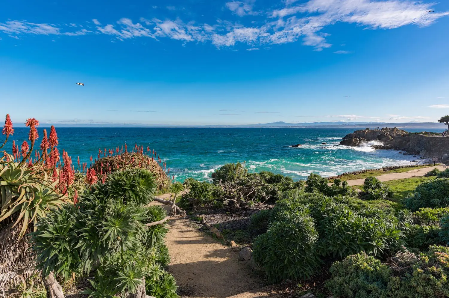 20 Best Things to Do in Monterey Bay, CA
