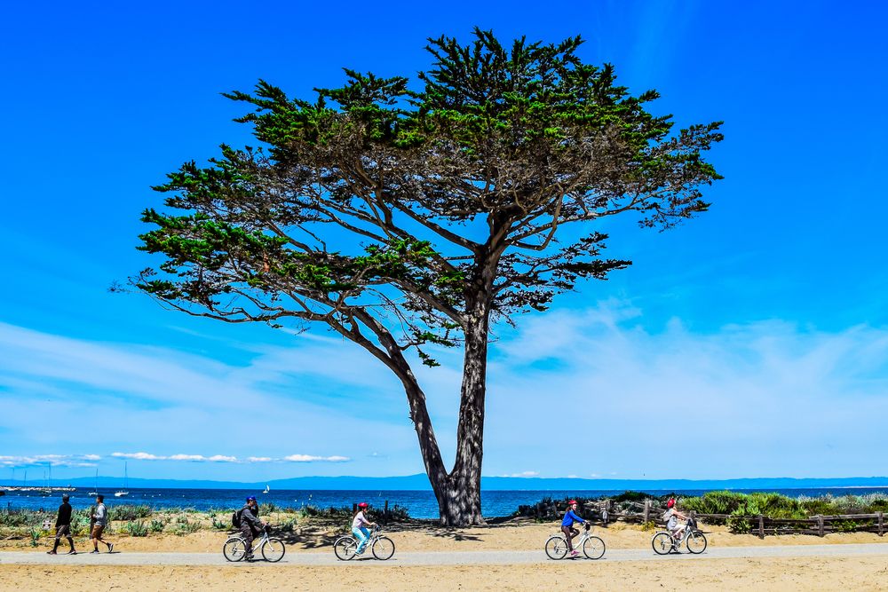 Bikers at Monterey Bay Coastal Recreation Trail