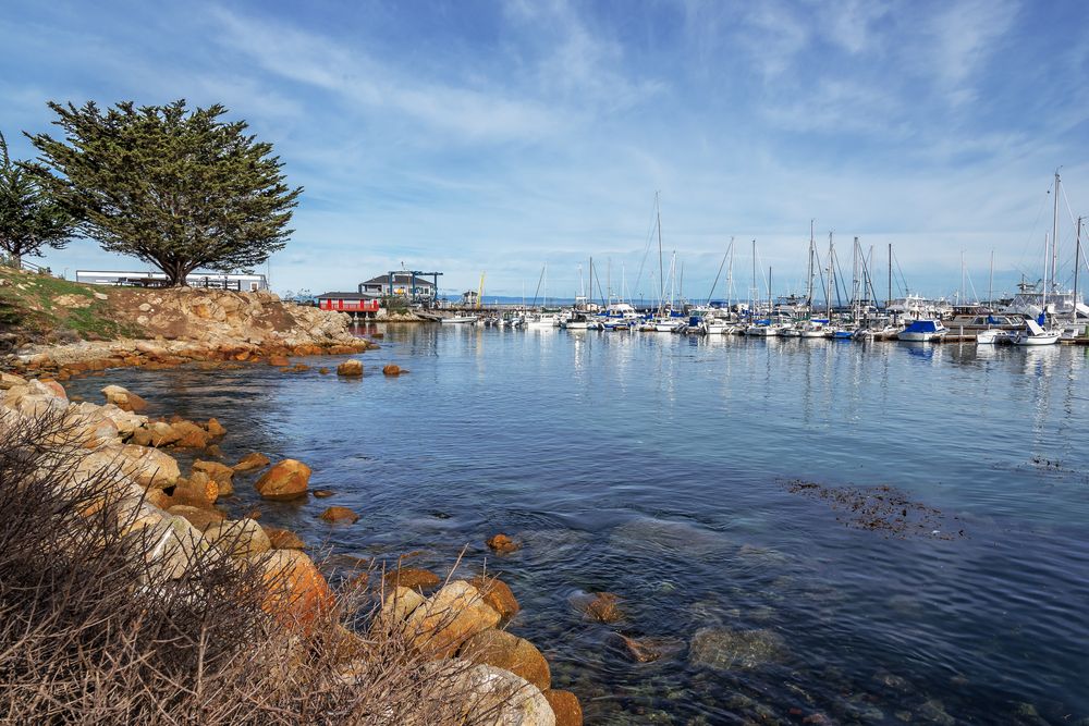 Harbor at Monterey Bay National Marine Sanctuary