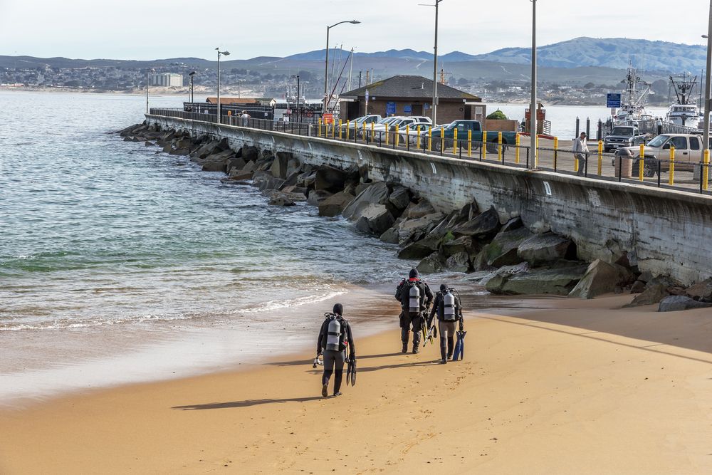 Scuba divers at Monterey Bay National Marine Sanctuary