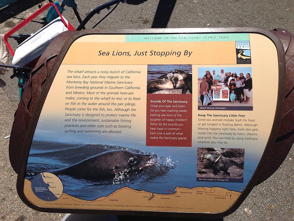 Sea lions information board at Monterey Bay National Marine Sanctuary