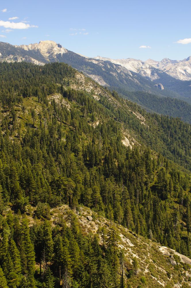 View from the Moro Rock
