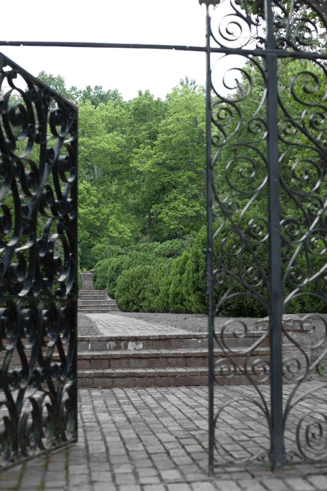 Iron gate at Morven Park