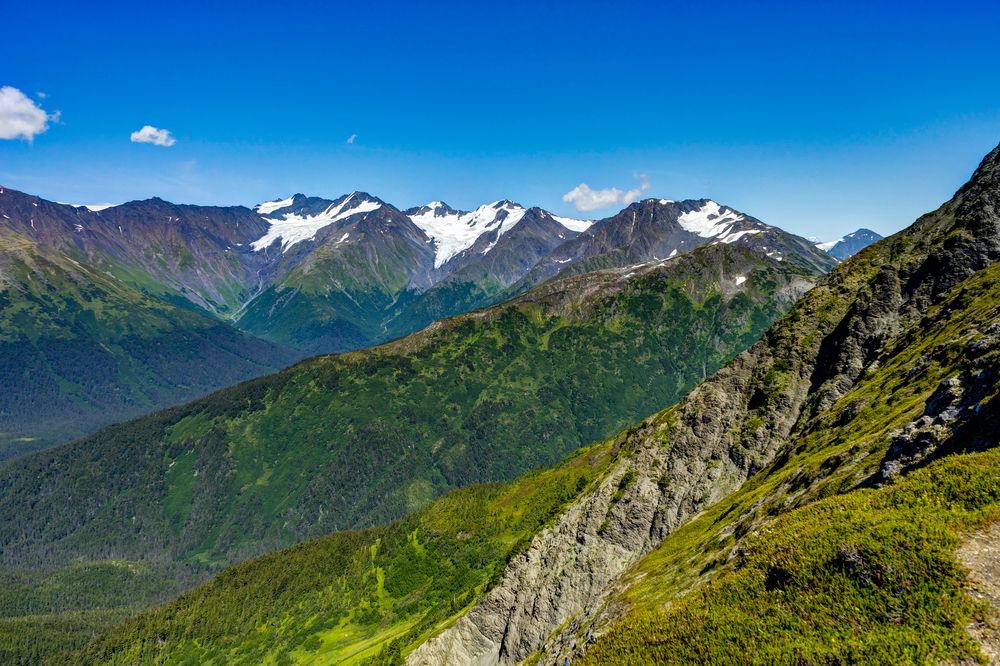 Lush green landscape of Mount Alyeska