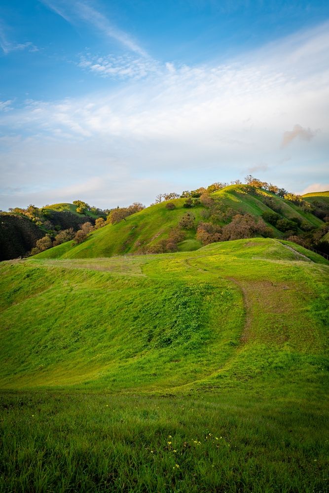 Peaceful meadows at Mount Diablo State Park