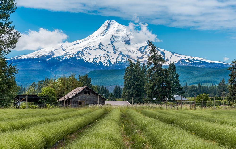 Scenic view of Mount Hood