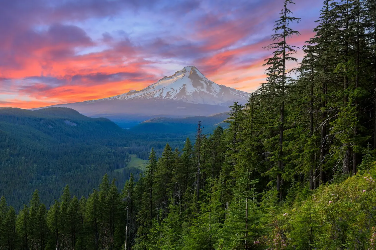 15 Best Things to Do in Mount Hood, OR
