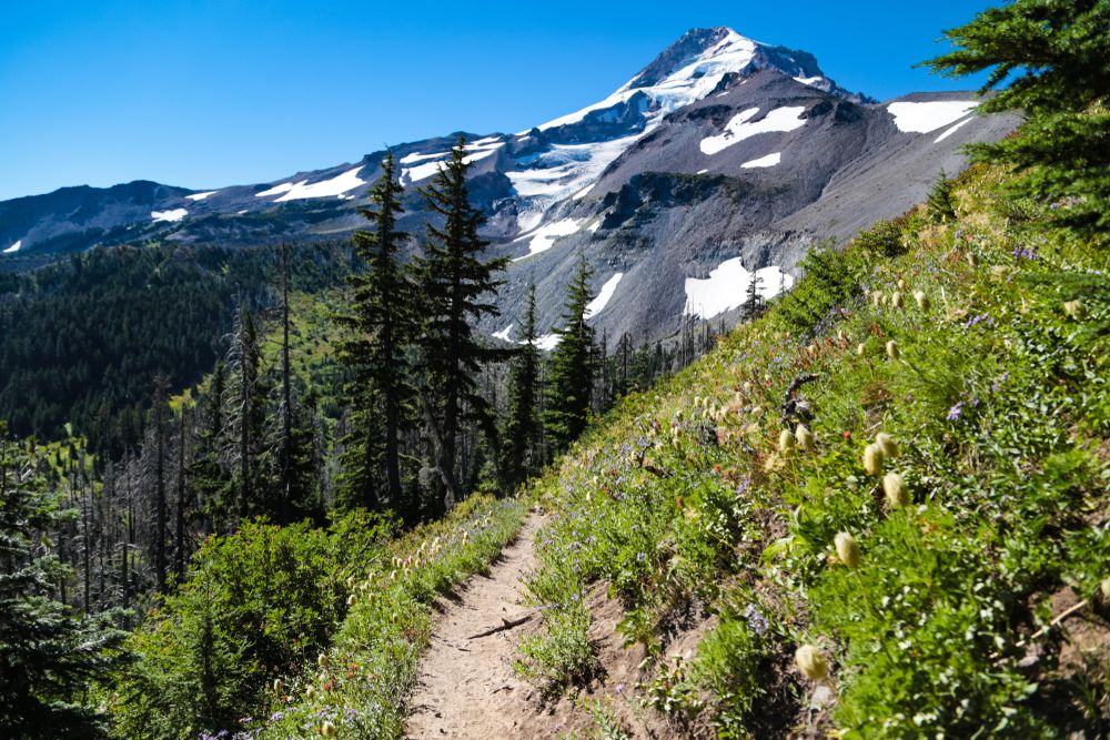 One of the trails of Mount Hood