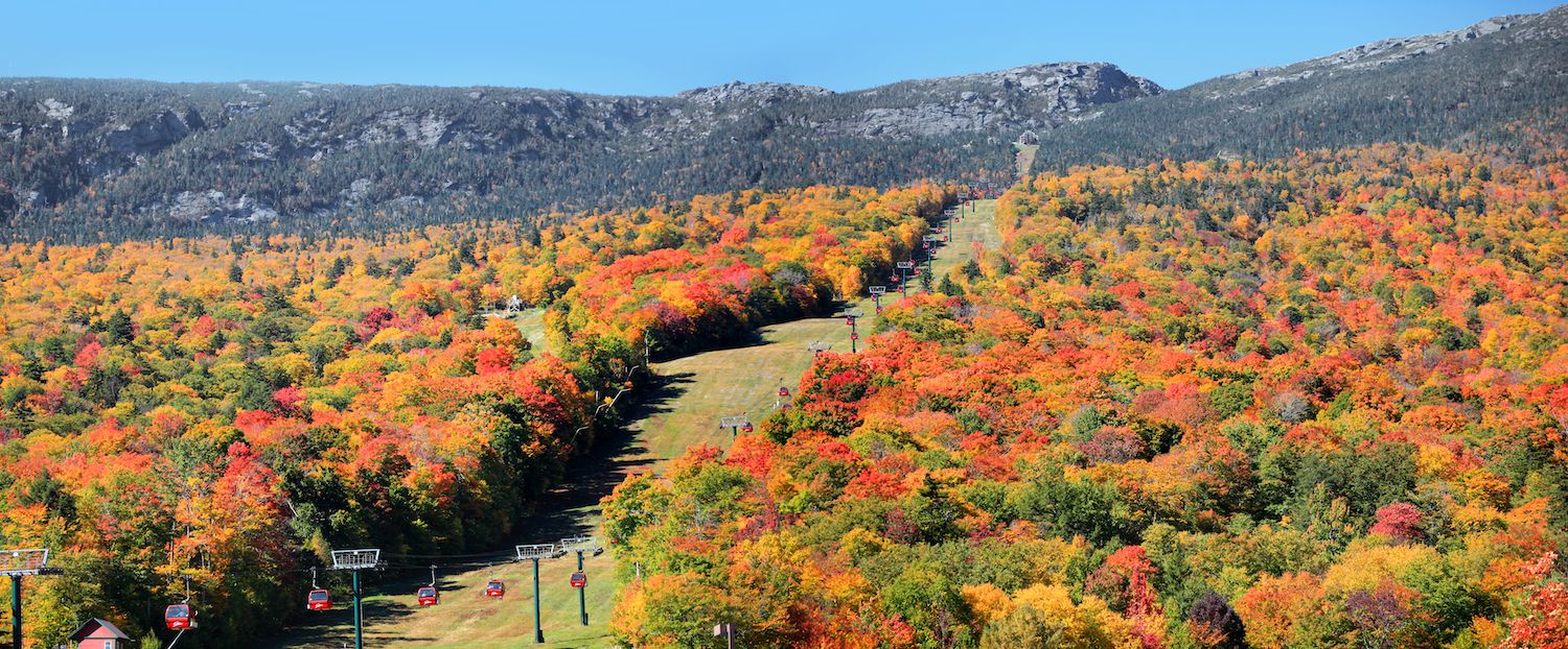 Fall trees at Mount Mansfield