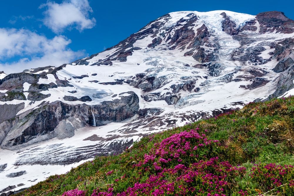 Mount Rainier covered with snow
