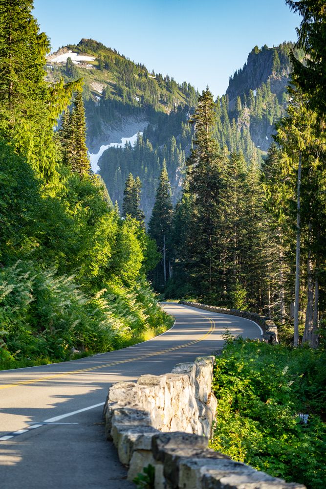 Road leading to Mount Rainier