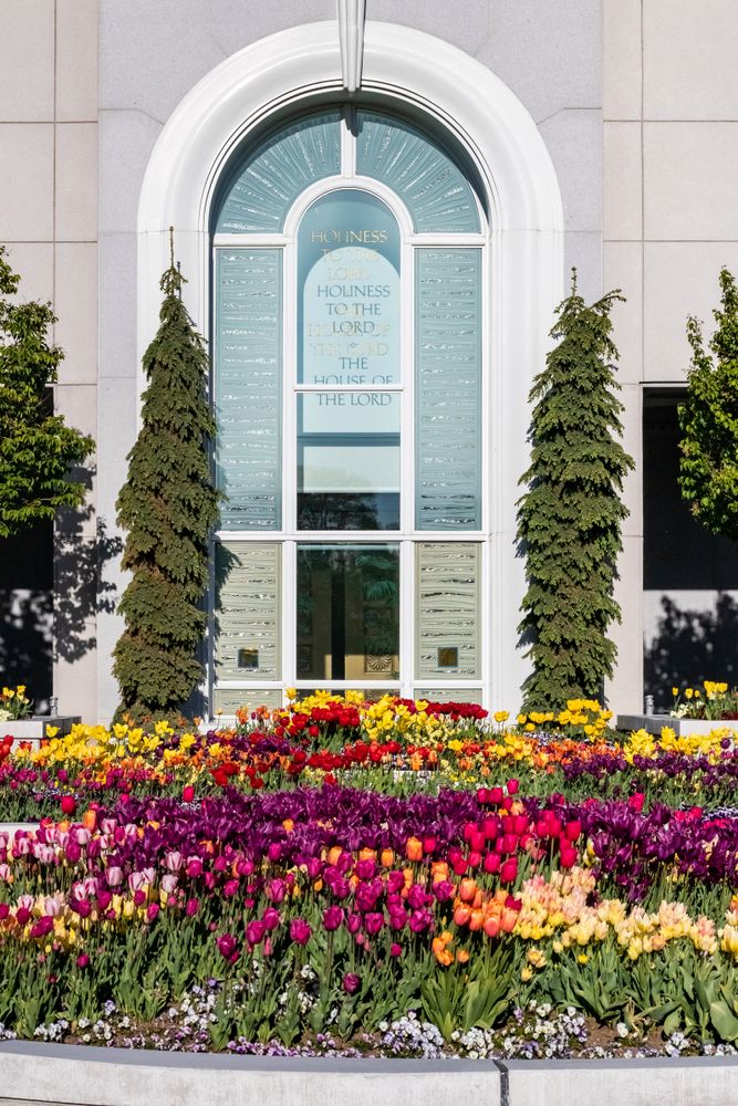 Colorful flowers at Mount Timpanogos Utah Temple