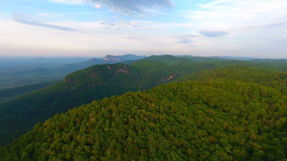 View from the Mountain Bridge Wilderness Area