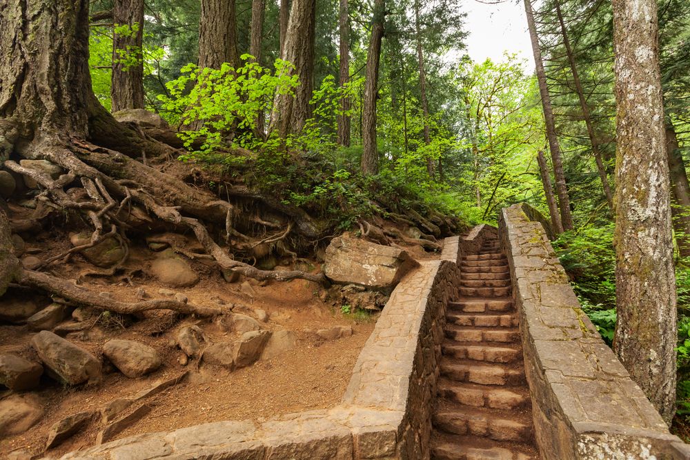 Hiking trail towards the Multnomah Falls