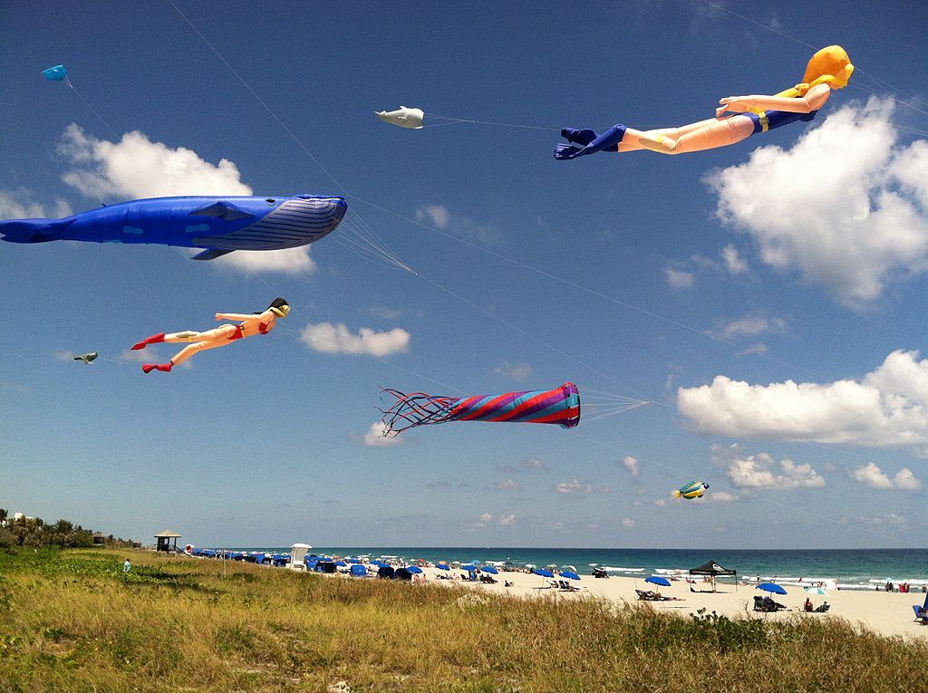 Kite flying at Municipal Beach